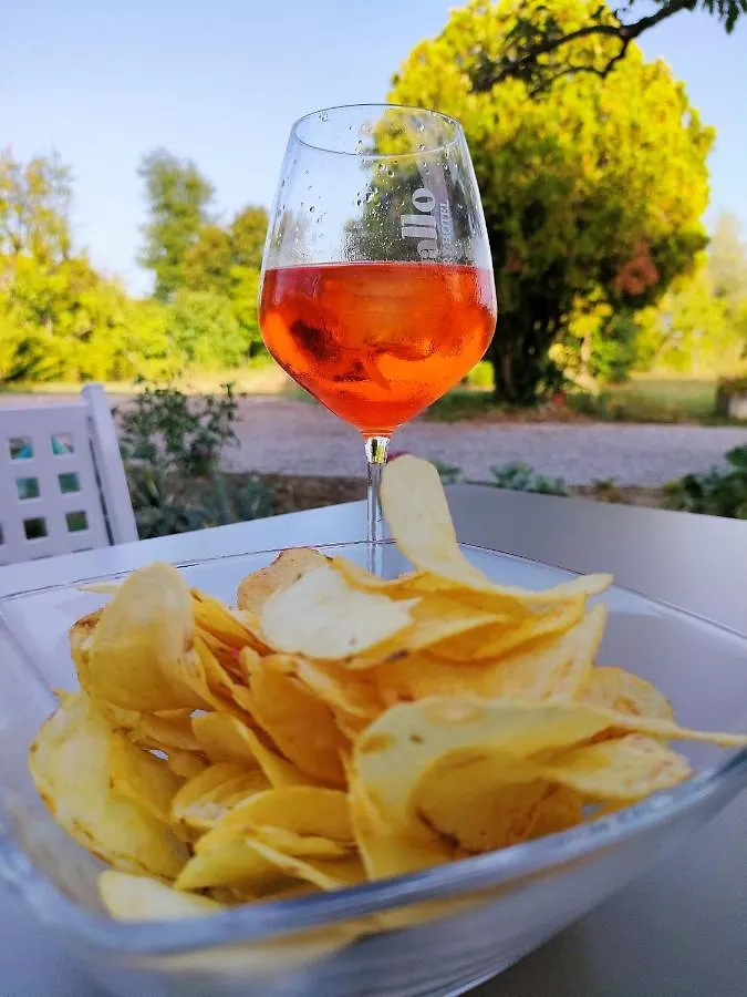 Country Hotel Al Gallo Oderzo